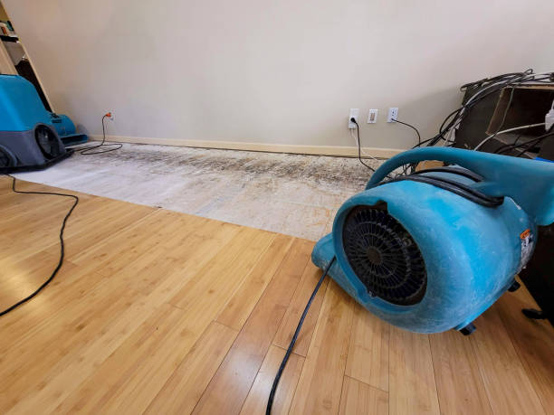 Professional Flood Damage Cleanup technician working in Marion, IL
